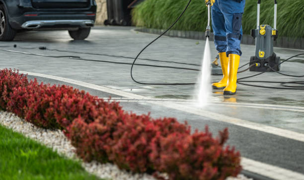 Best Affordable Pressure Washing  in Forest Hills, MI
